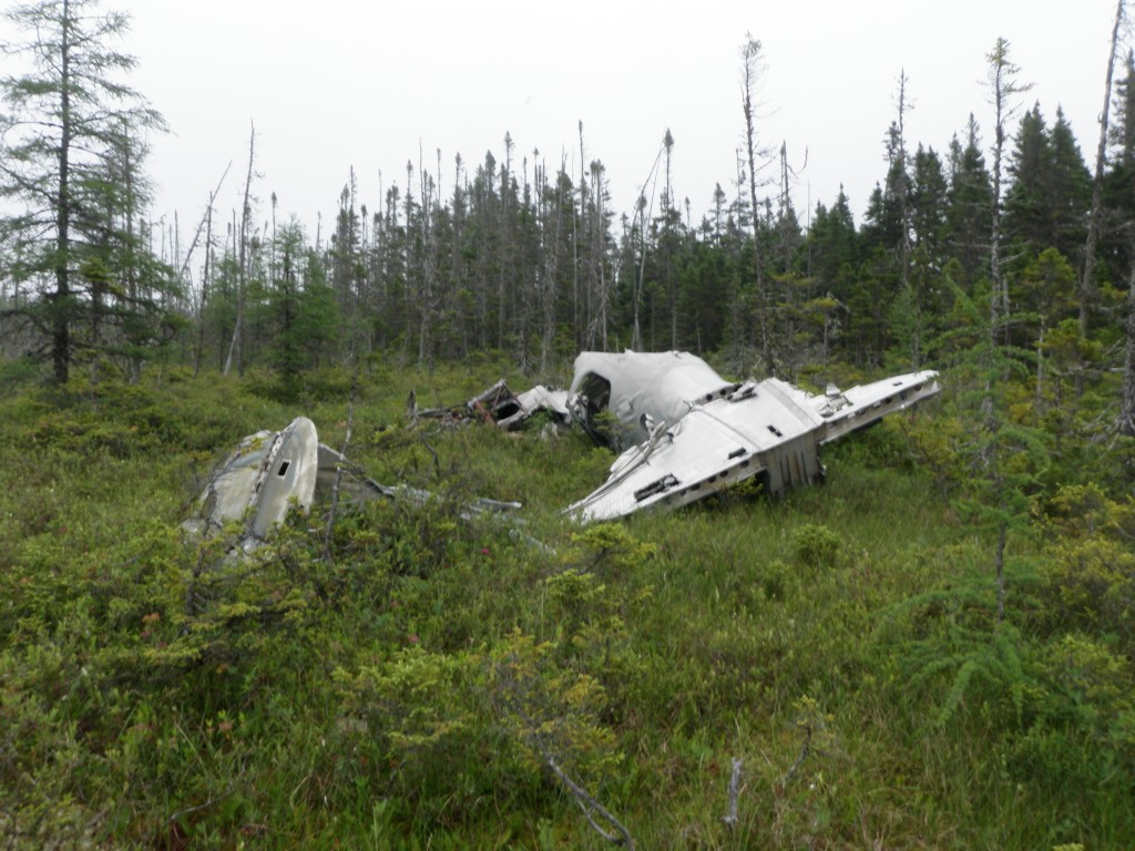 Figure 2: The tail of the aircraft, slightly twisted and fragmented. Photo by author, 2011.
