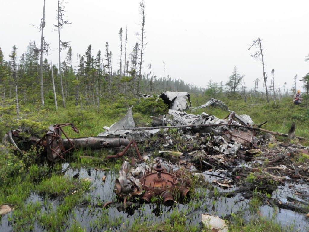 Figure 4: The crash site. Photo by author, 2011.