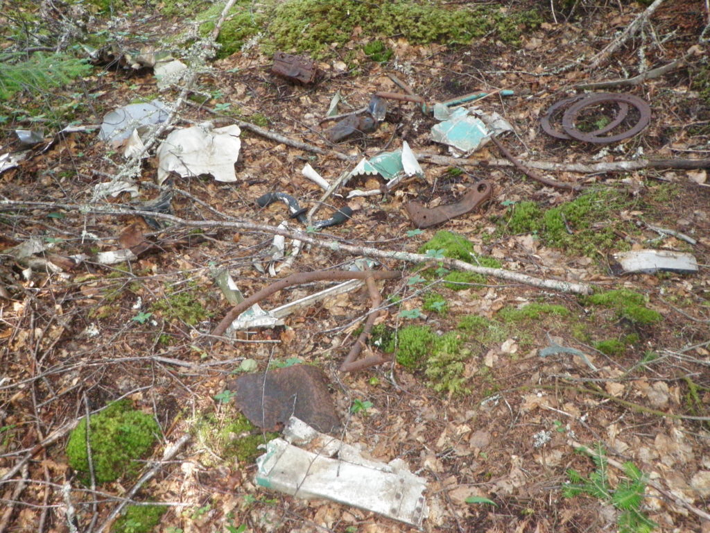 Figure 5: Area of highest artifact concentration on the site. Photo by author, 2010.