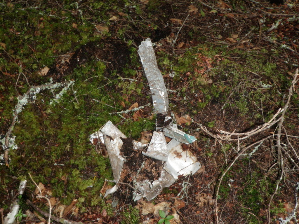 Figure 3: Some of the wreckage that remains on site. Photo by author, 2010.