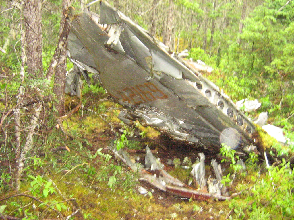 Part of a tail fin that is resting against some scraggly trees so that it is partially upright with jagged metal debris all around it. The numbers 42169 are visible in a faded red/orange paint.