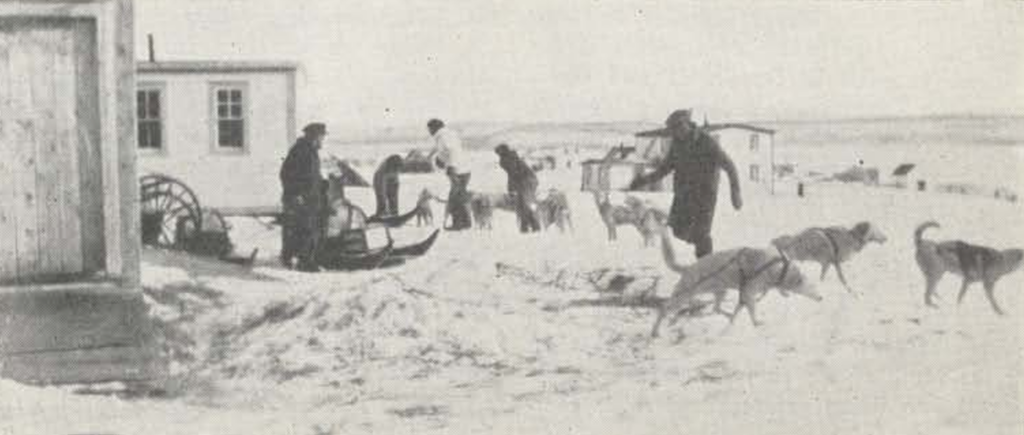 A black and white photo. There are sled dogs in the foreground, and people scattered around the scene. There are a couple of buildings, both in the foreground and background. The people in the picture seem occupied with tasks.